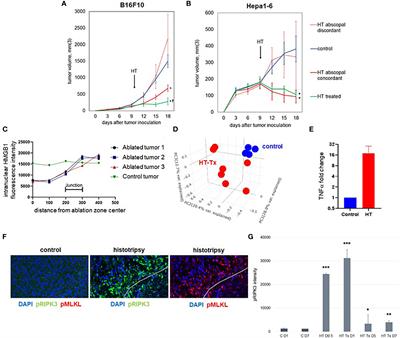 Frontiers | Spatiotemporal Local And Abscopal Cell Death And Immune ...